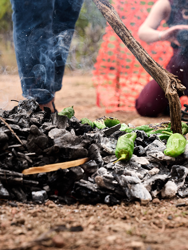 2025-Community-Day-Gathering-Seeds-Tending-Roots-175